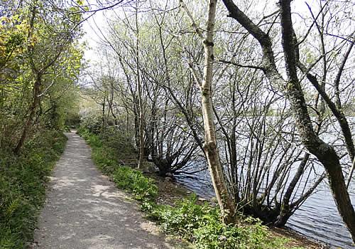 Photo Gallery Image - Walks around the reservoir